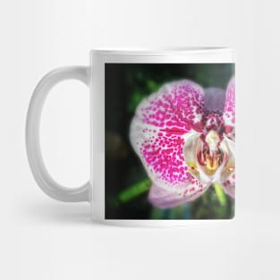 Pink-Spotted Orchid Mug